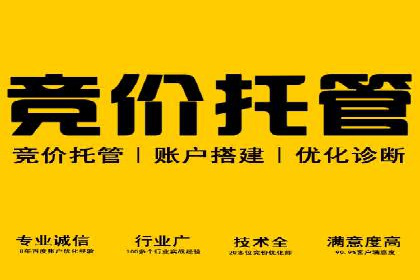 SEM网络推广案例：低成本高回报的营销策略